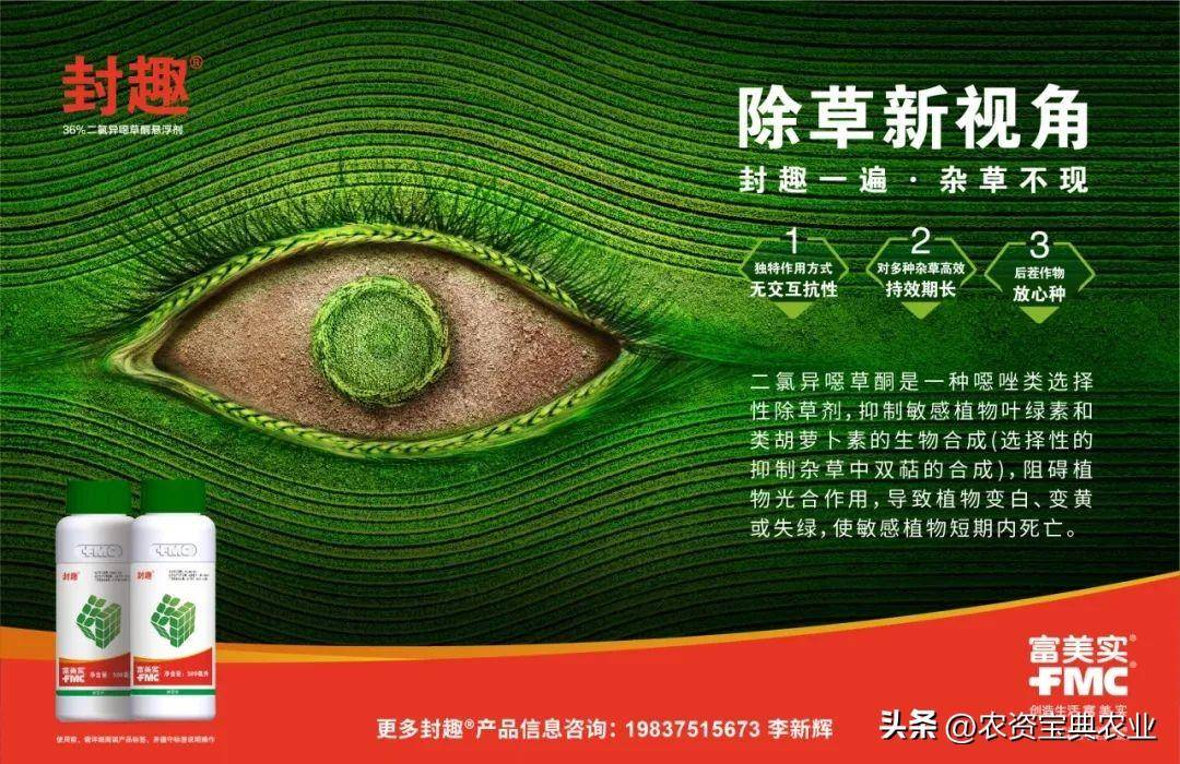 麦田除草有妙招!合理用药,封趣让你提高除草效率_杂草_除草剂_冬小麦