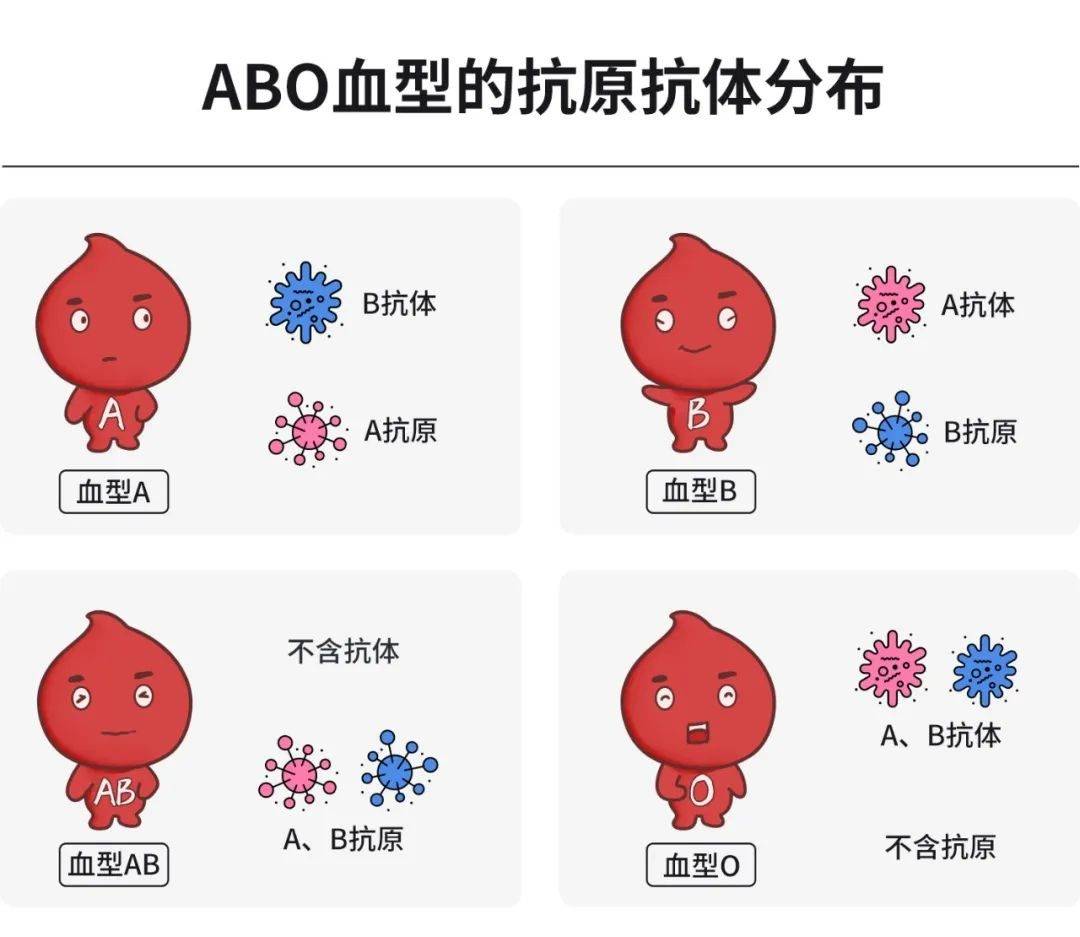 O抗原 来自搜狐网