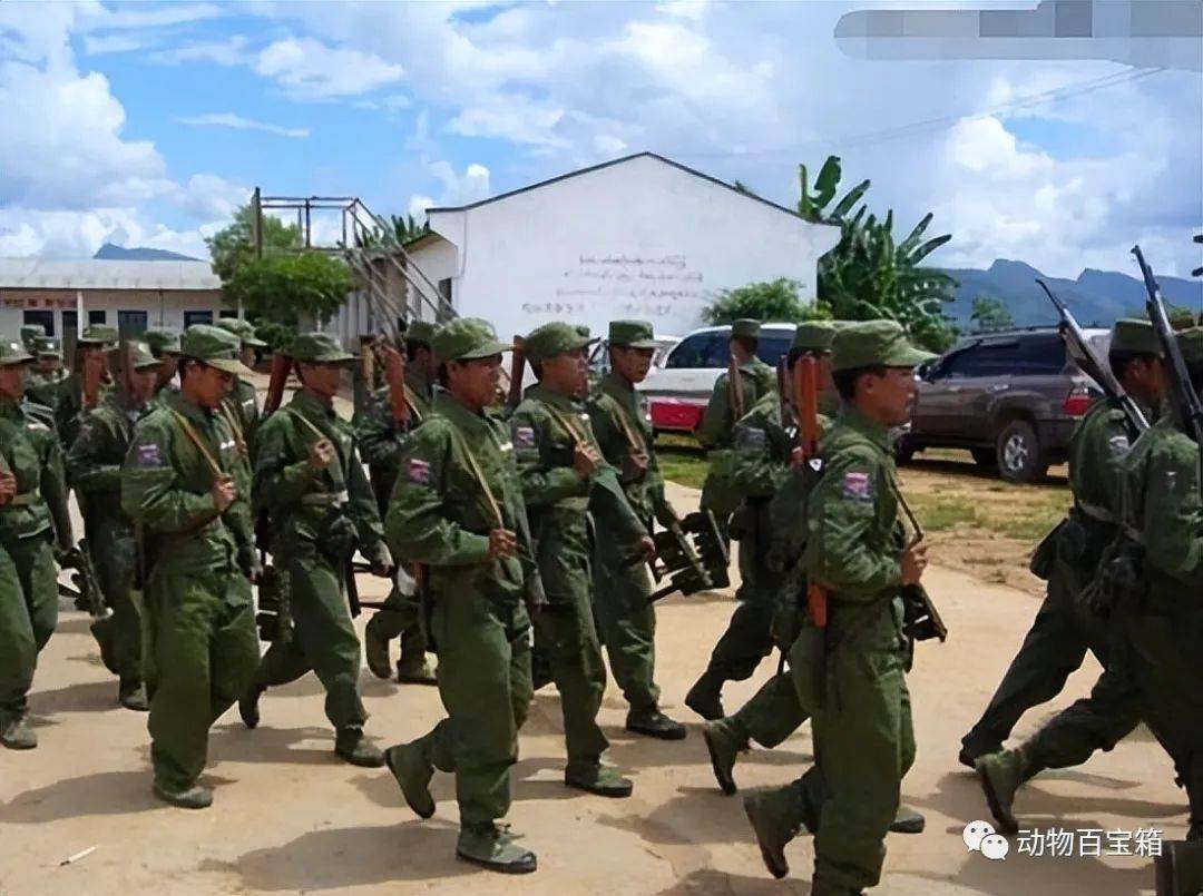 打到如今,果敢同盟军摊牌:我们是汉族,却要被赶出祖辈生活之地_民族