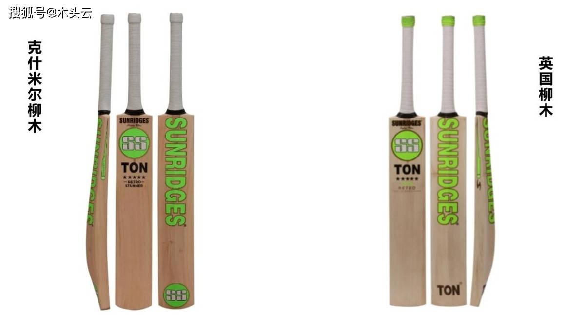 板球运动重返奥运!