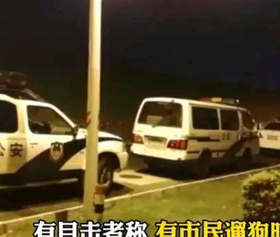 广东佛山：男子遛狗却被狗拖入河里，目前已失踪三天，狗狗没事 