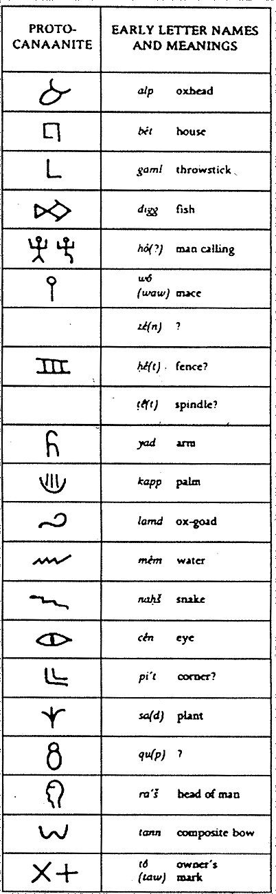 寫作的演變_文字_系統_公元前