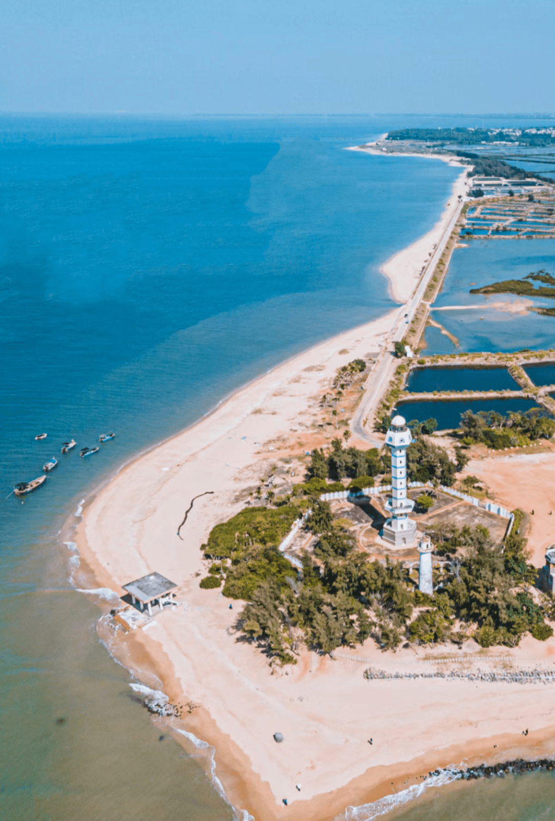 中国最南边的海滨小城,生蚝1元1个,轻松实现菠萝自由,落日自由_湛江市