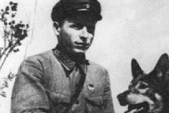 二战军犬亲眼目睹主人被害，5年后遇凶手，咬破对方喉咙中弹身亡 