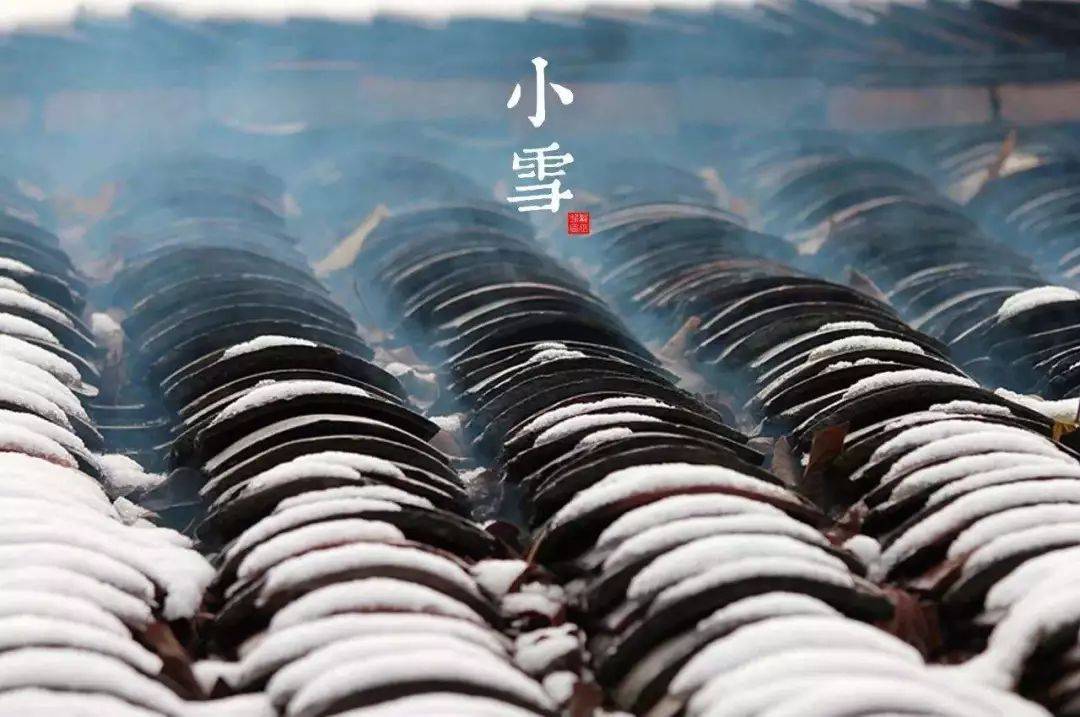 今日小雪-小雪到,天气寒,冬天的味道浓了_工作_黄瓜_节气