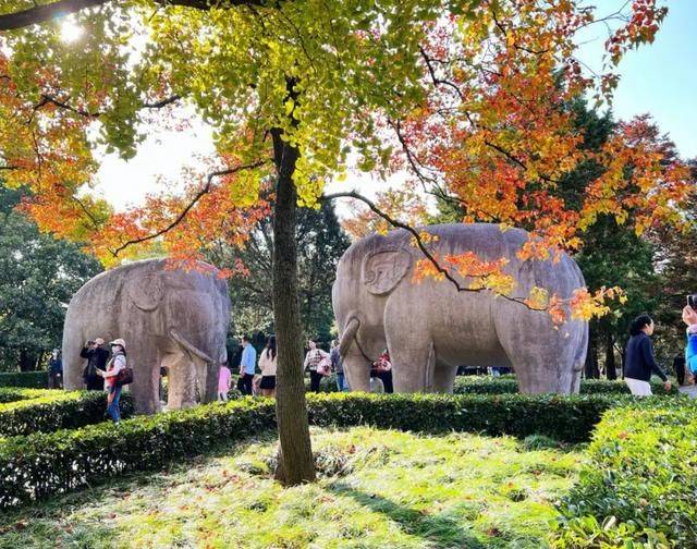原创 南京一景区清洁工往地上抛洒落叶？景区：为游客拍照营造氛围