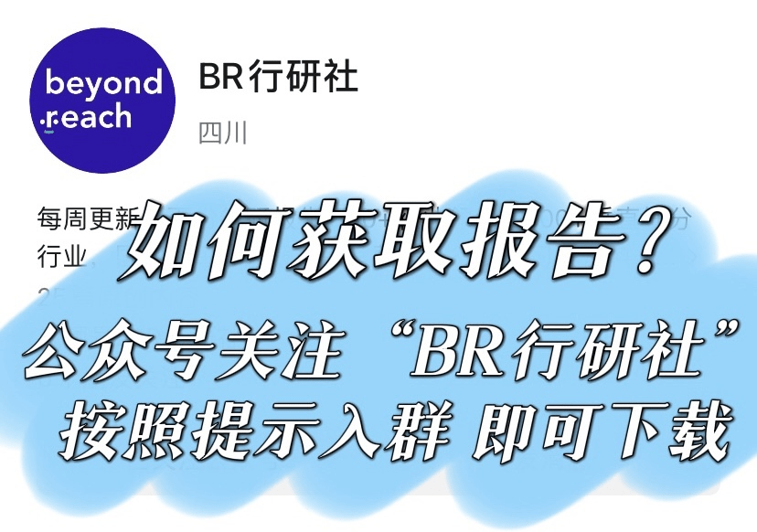 美妆及商业行业2023年双十一大促专题：国货逆风翻盘，竞争持续加剧_