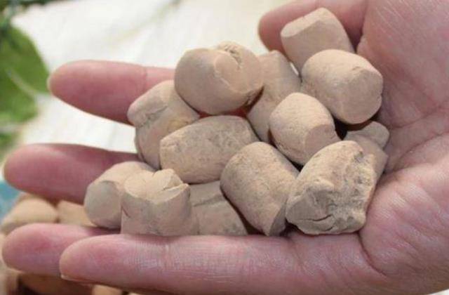 民国25年四川饥荒,饥民抢观音土把山都挖塌了_人们_食物_食用