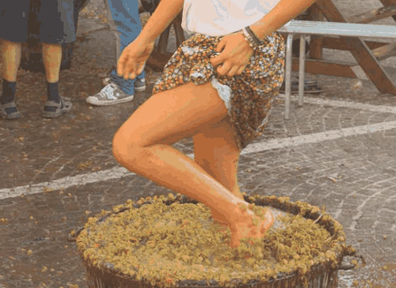 全球最顶级的葡萄酒，却是少女用赤脚踩出，看完你还敢喝吗？