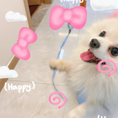 炒鸡奶思！萌萌鸭宠物用品京东旗舰店网红风胸背带！