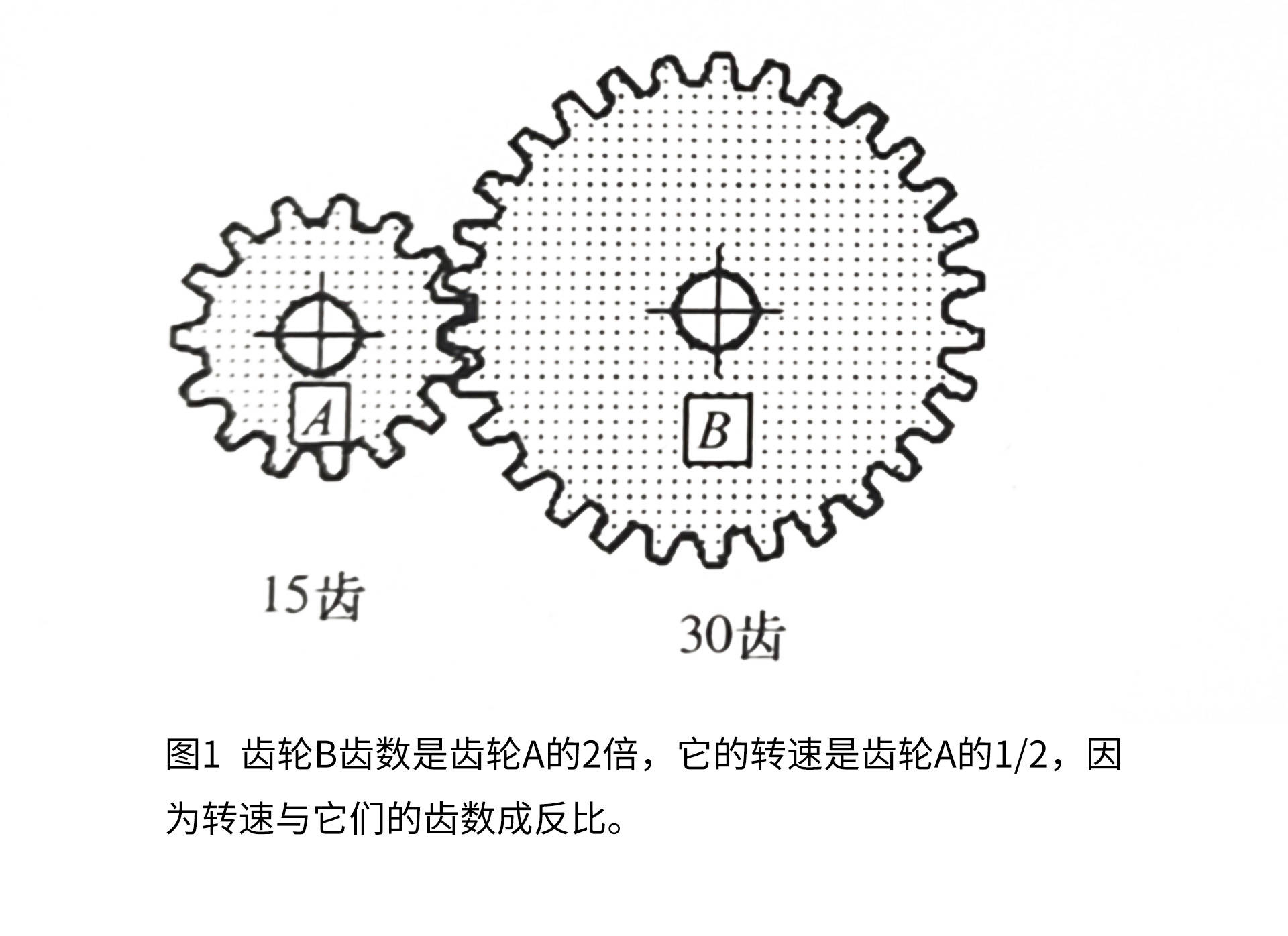 如果两个直径不同且齿数不同的齿轮相互啮合,每个齿轮的齿数决定了