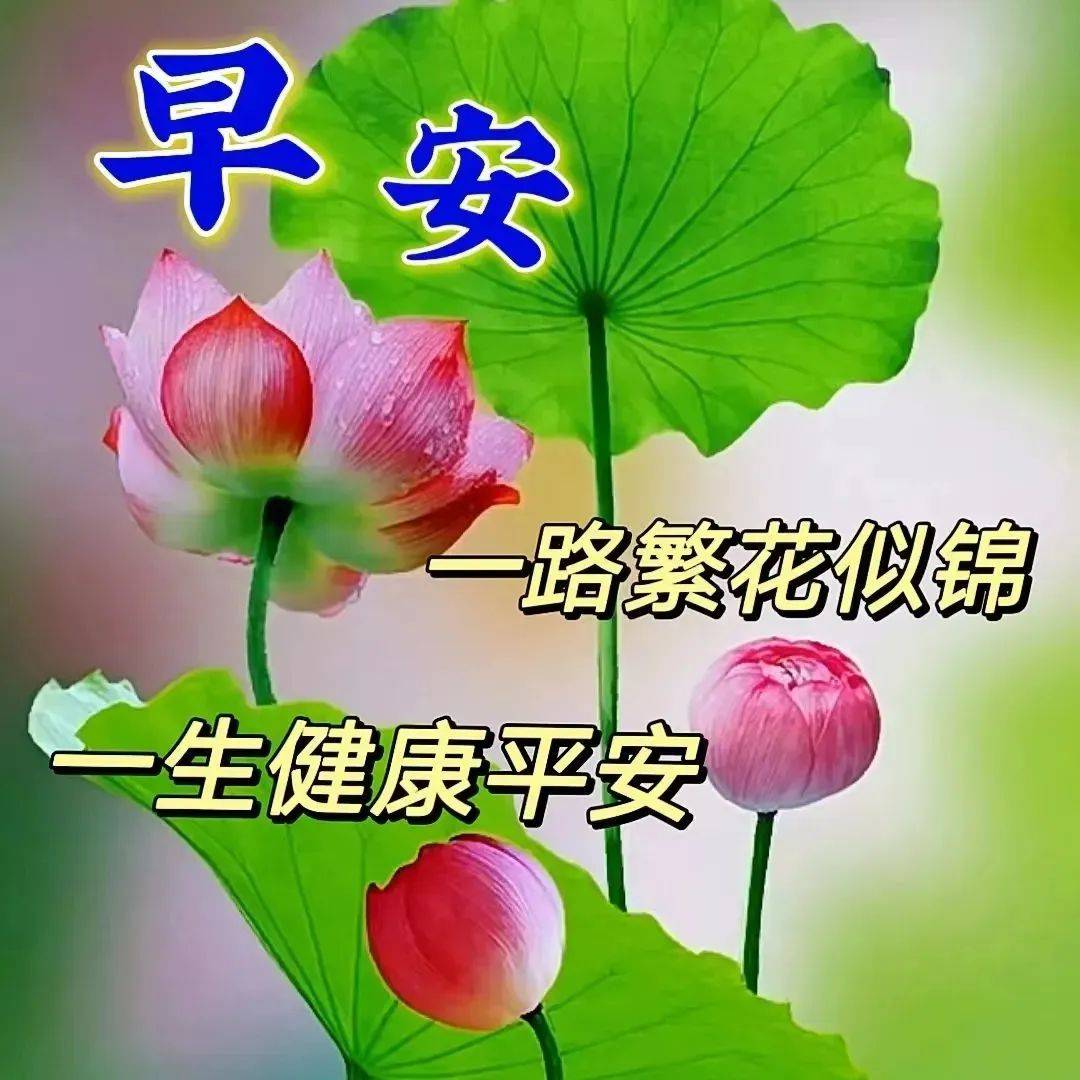 清早送朋友的阳光早安问候语祝福