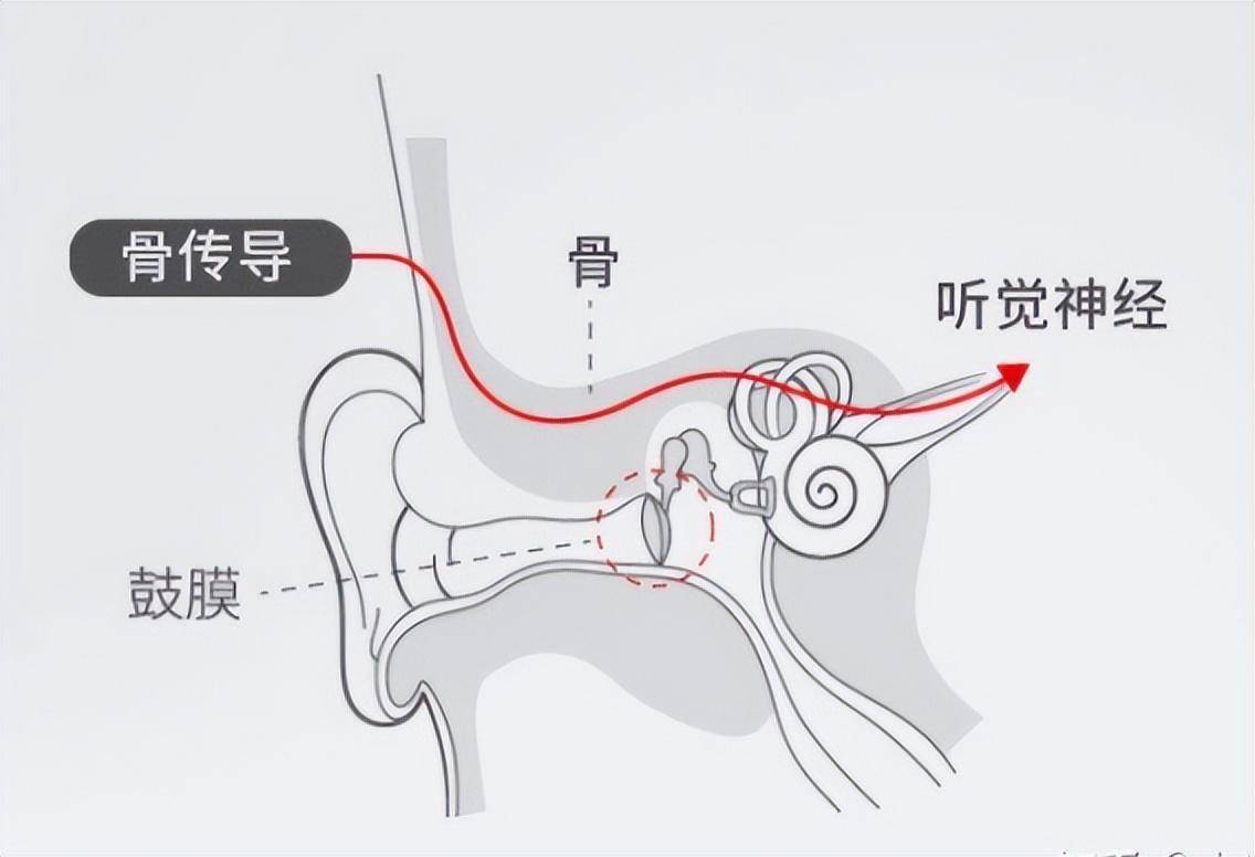 骨传导耳机排行榜十强！骨传导耳机综合排行榜TOP耳机推荐