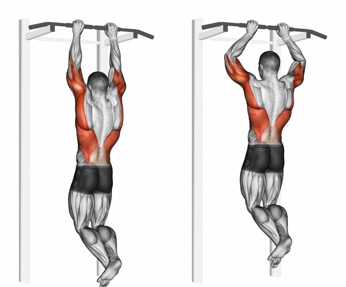 如何以标准方式做引体向上?_身体_手臂_肌肉