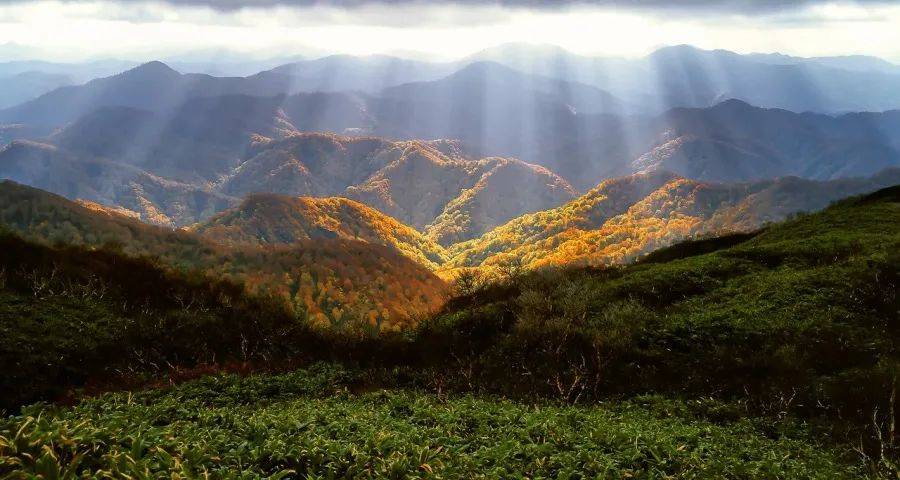 家电经销商还能继续开实体门店吗?-家电圈官网