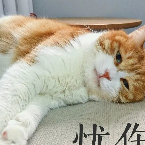 在家里装了摄像头后，我才发现我家猫每天都在等我回家 