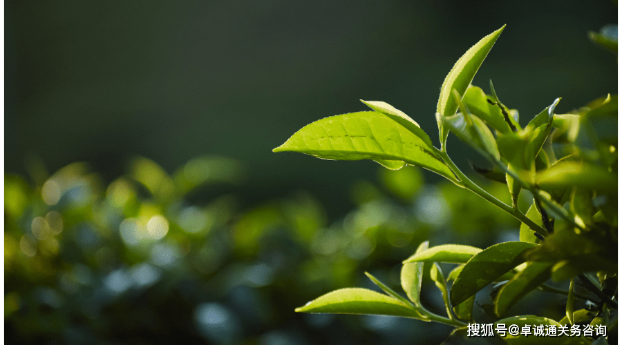 秦嶺淮河以南,青藏高原以東,大江南北,西南邊陲,華南沿海,都有引