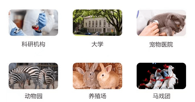 實驗動物|tono-pen avia vet 壓平式動物眼壓計設備及耗材購買_測量