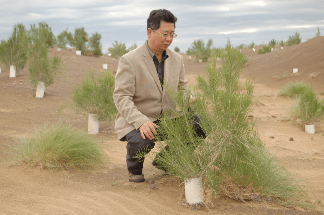 新疆維吾爾自治區天山學者特聘教授,南京農業大學教授,新疆農業大學