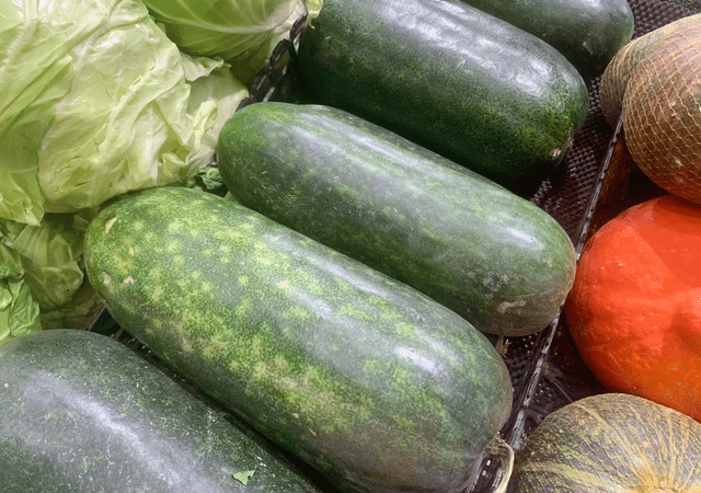 中药不用抓",买30斤晒干,随吃随取,炖着吃真香_冬瓜_水分_蔬菜