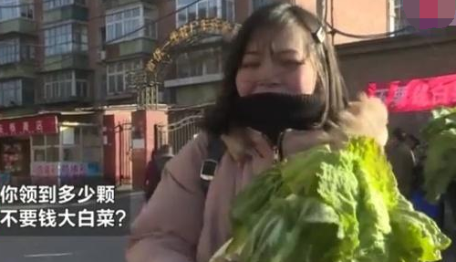 大哥“免费”卖白菜，3小时净赚5000元！网友恼：我咋没想到呢？(图3)