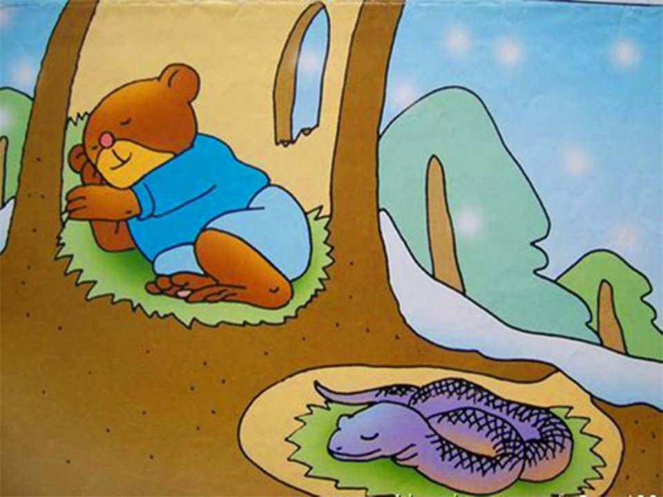 蛇冬眠时“任鼠宰割”，很有可能会被吃掉，那蛇为何一定要冬眠？(图6)