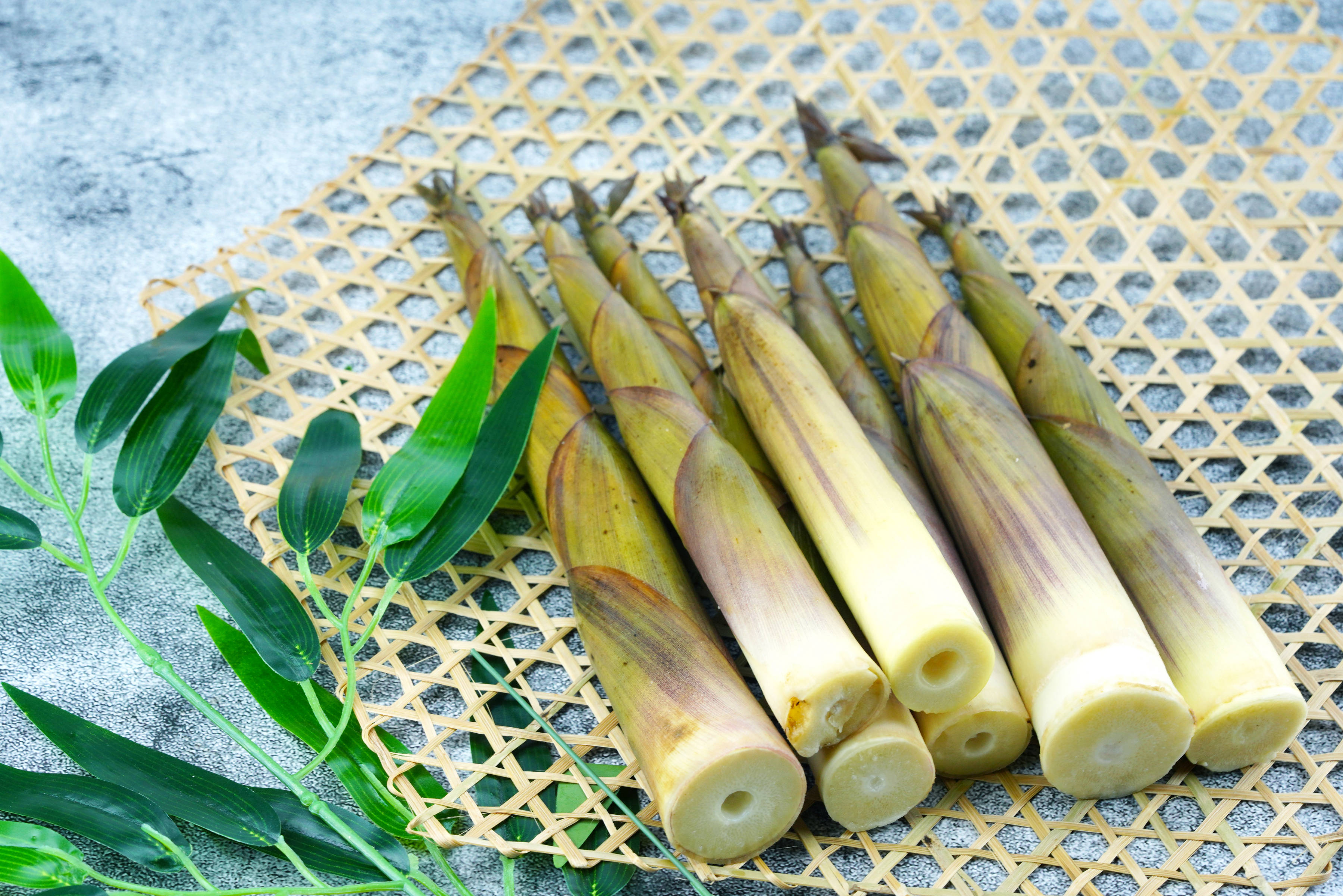 广东英德:麻竹笋产业剑指百亿级