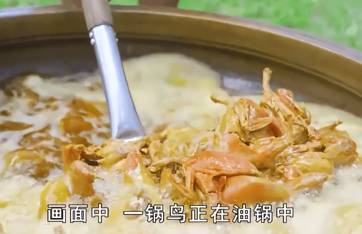 世界上最“油”的鸟，只吃素却因为长得太胖，常常被人捉来熬油(图2)
