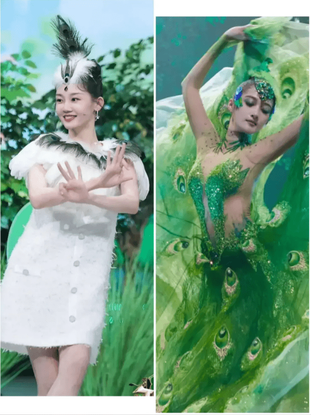 一样是孔雀舞,把关晓彤和苗苗放在一起,差别就出来了!_舞蹈_动作_生活