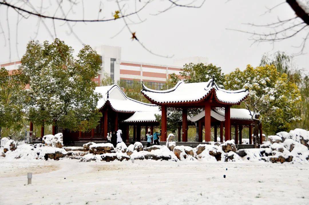 河南农业大学雪景图片