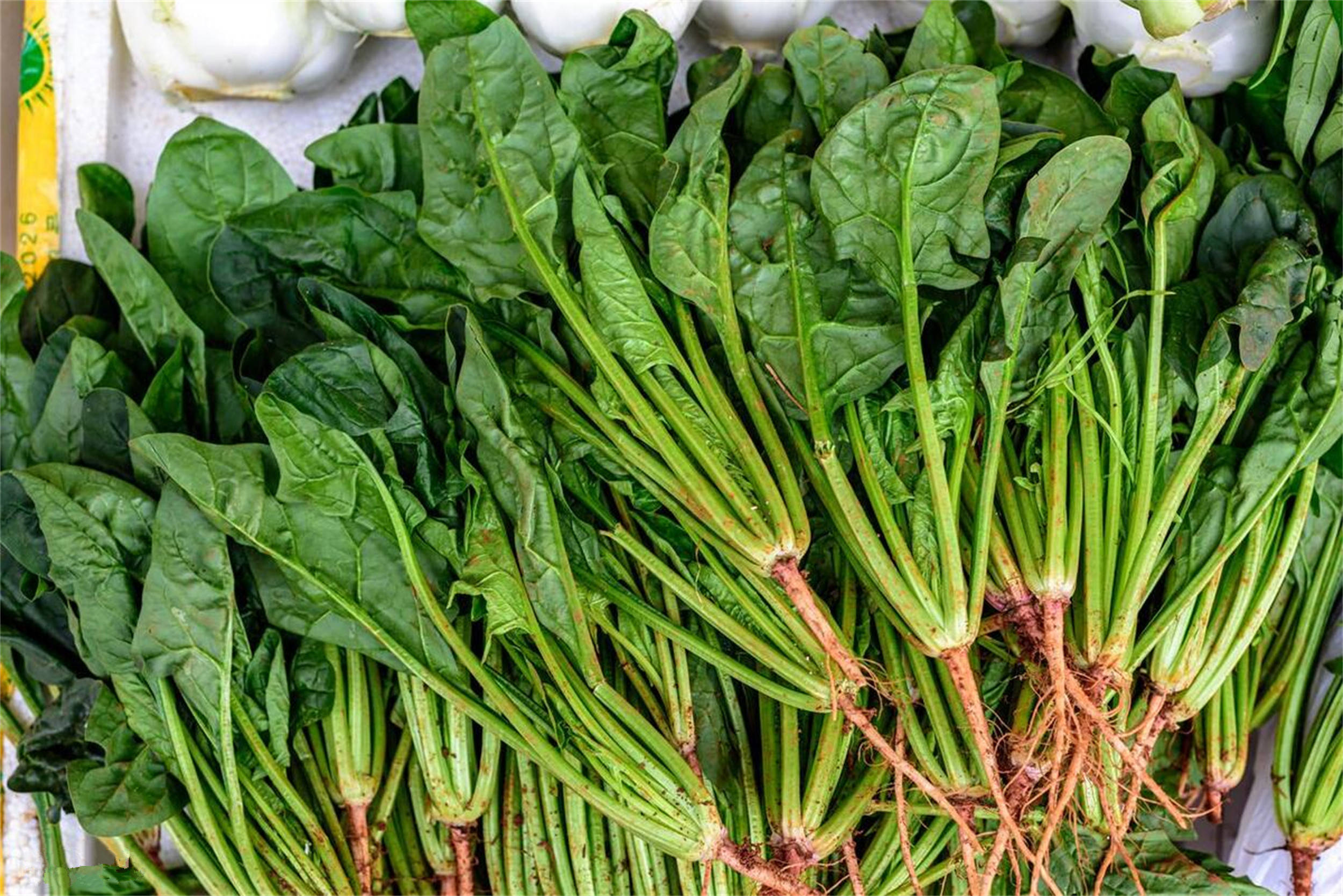 冬季要"养骨",建议中老年多吃6种"高钙菜",腿脚好上楼利索_菠菜_茼蒿