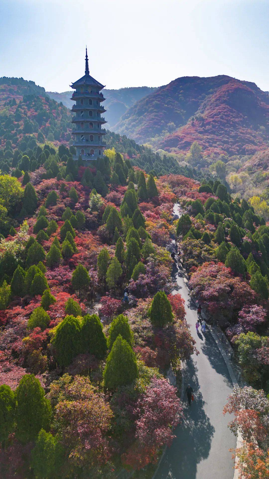 郑州→济南高铁全线贯通,这些景区优惠已经为你准备好了!