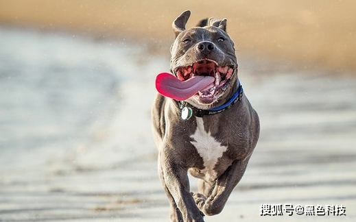 来自李光的笑话:早上老婆和我闹了点情绪,晚上回家冷火秋烟,我以为她
