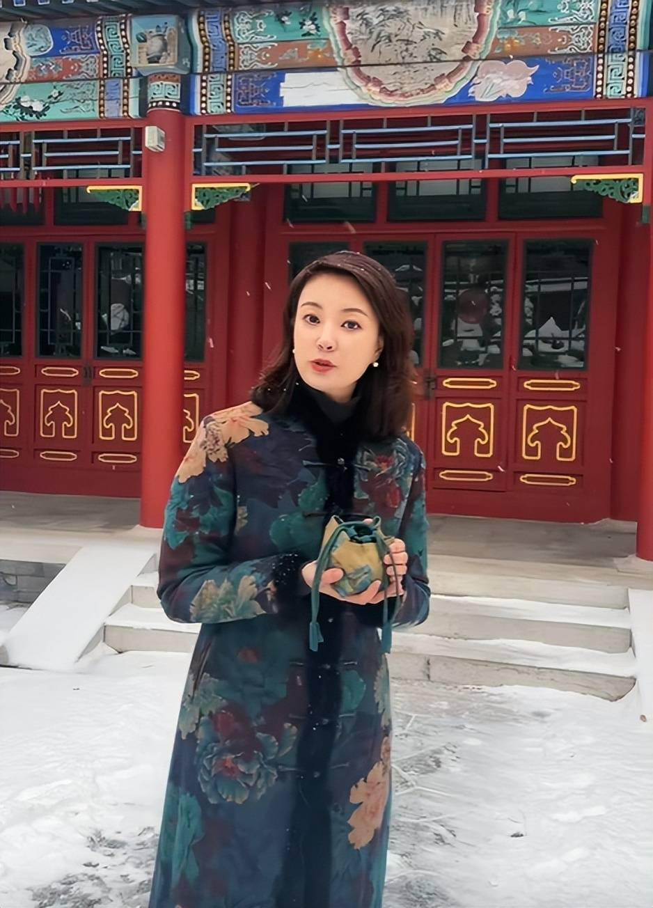 刘芳菲:有惊无险,因大雪封路被困陕西高家堡镇3天之后顺利抵京_北京
