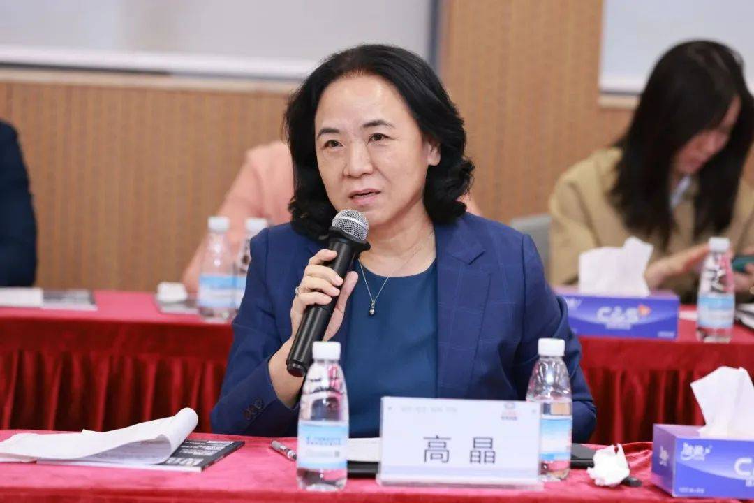 雄帝科技董事长 高晶"产业融合也要专业化,政府,商