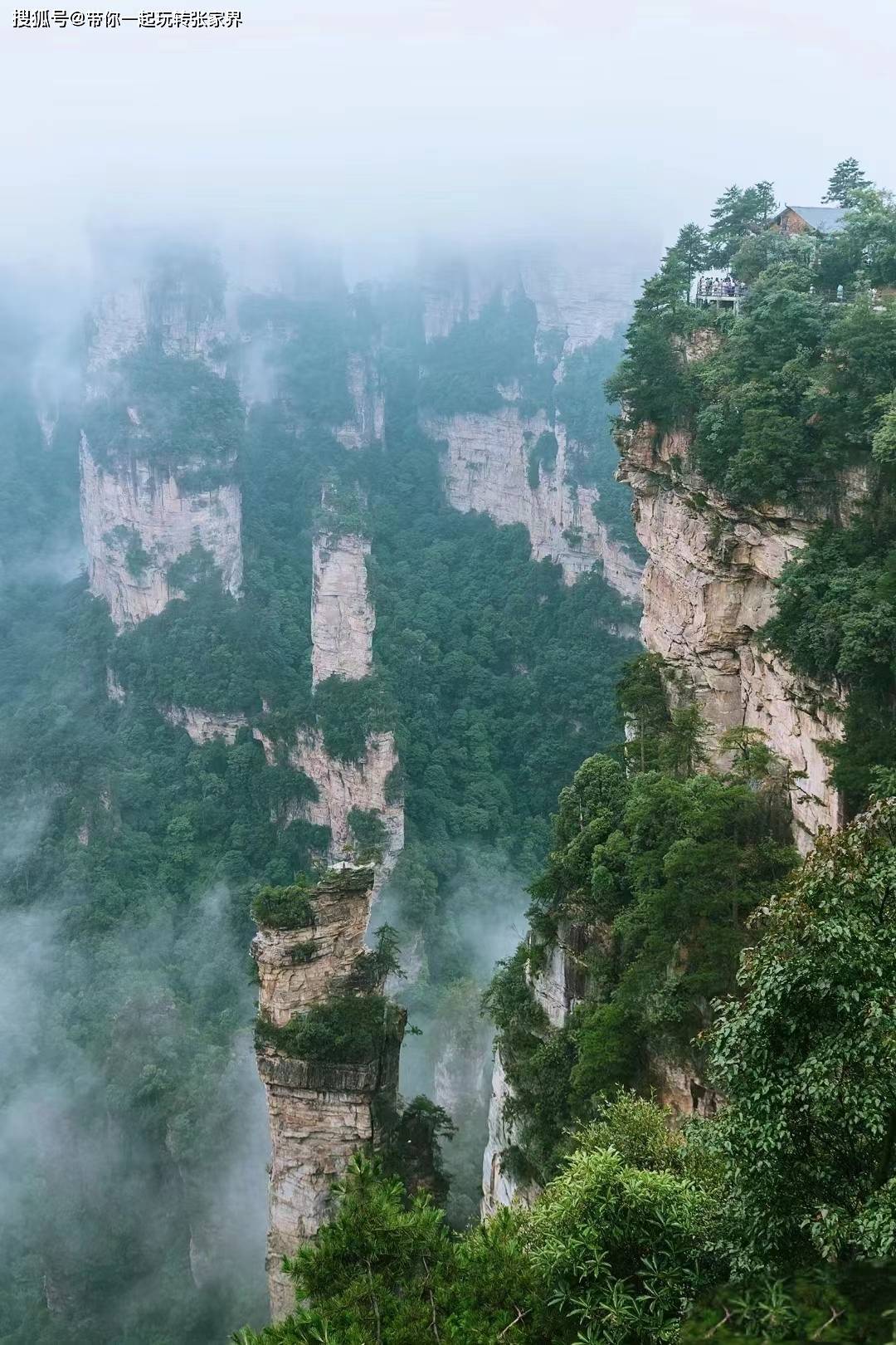 到张家界凤凰古城旅游一定要看的景点-保姆级攻略_湘西_中国_金鞭溪
