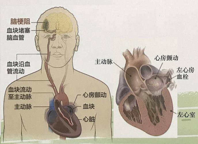 學習強國四人賽解析之267|上新