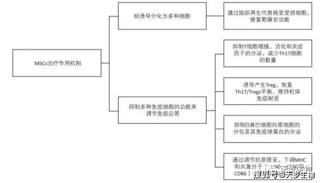 王健_疾病_治療