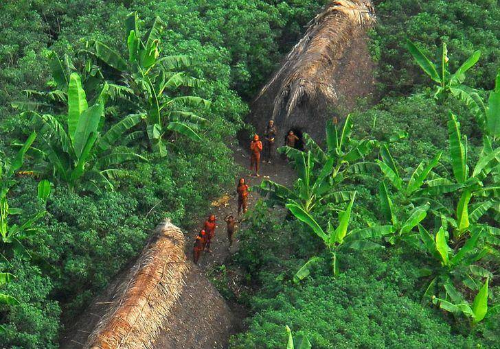 亚马逊雨林有多恐怖?表面是地球之肺,背地里是人类禁区!