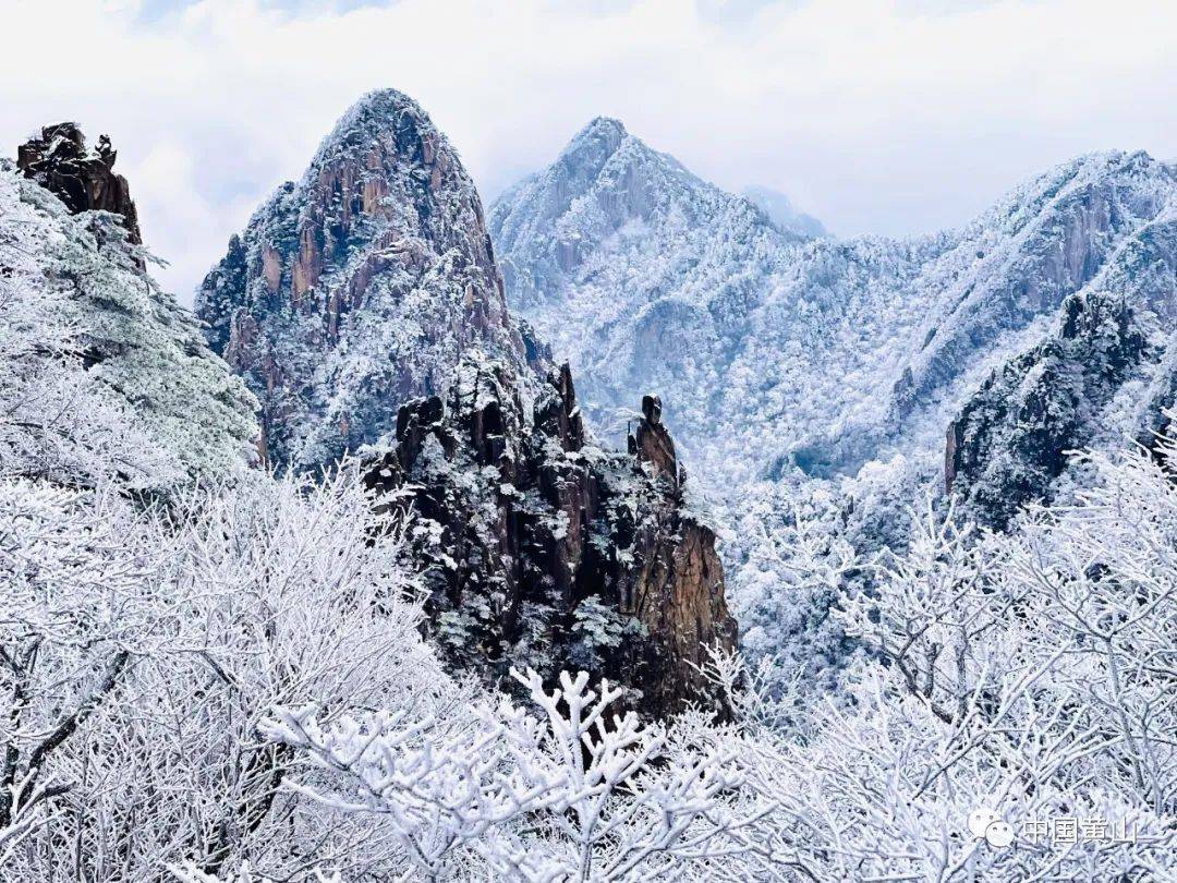 黄山冬雪首秀 银装素裹美不胜收!_游客_雪景_积雪