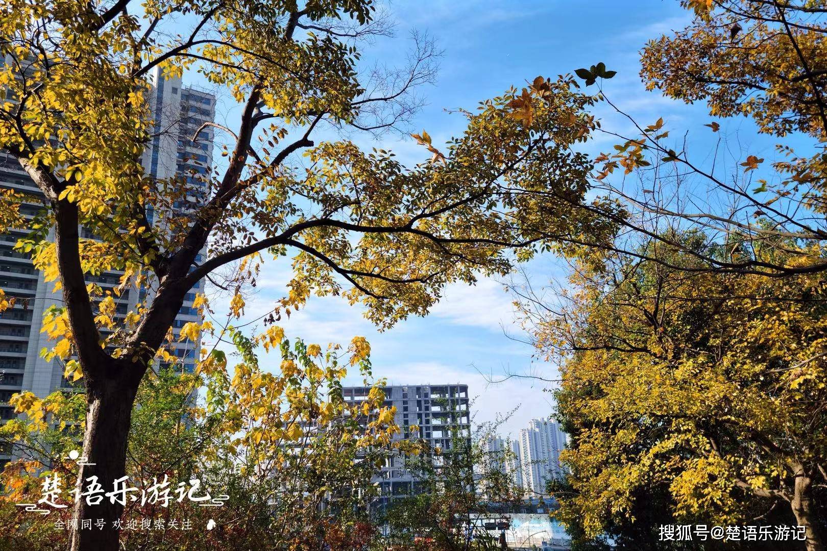 浙江余姚屯山公园,五彩斑斓堪称秋色天花板,它到底有多美?