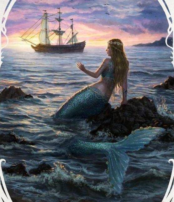 他们以美人鱼在海上的能力来寄托出海的希望,以此来实现自己所要实现