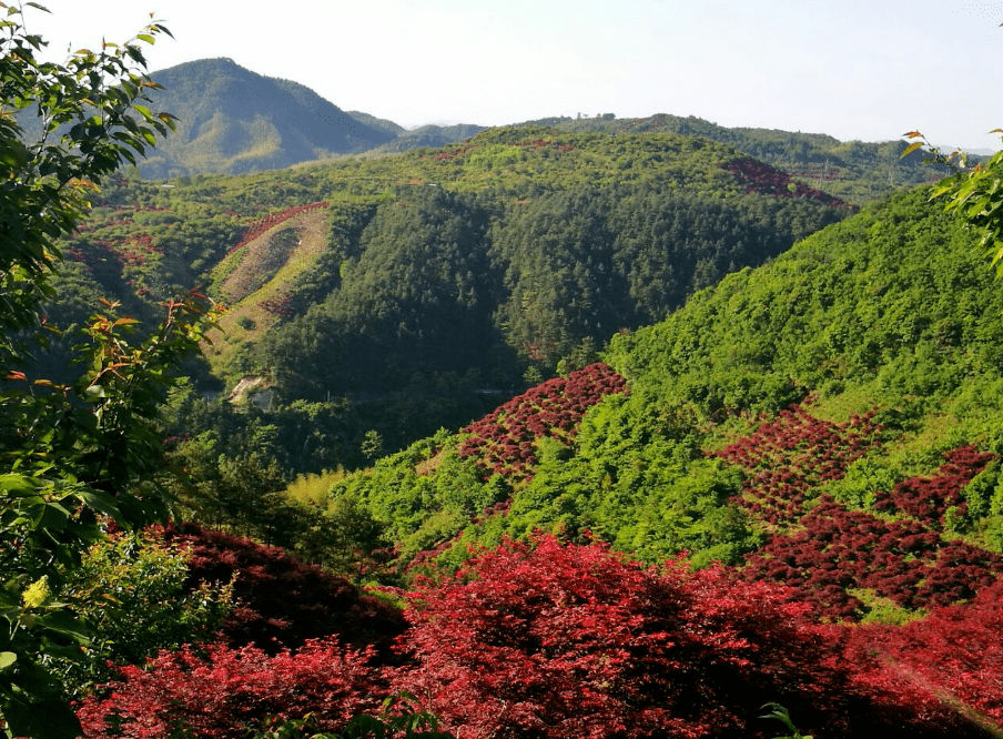 历史_龙泉山风景区_休闲