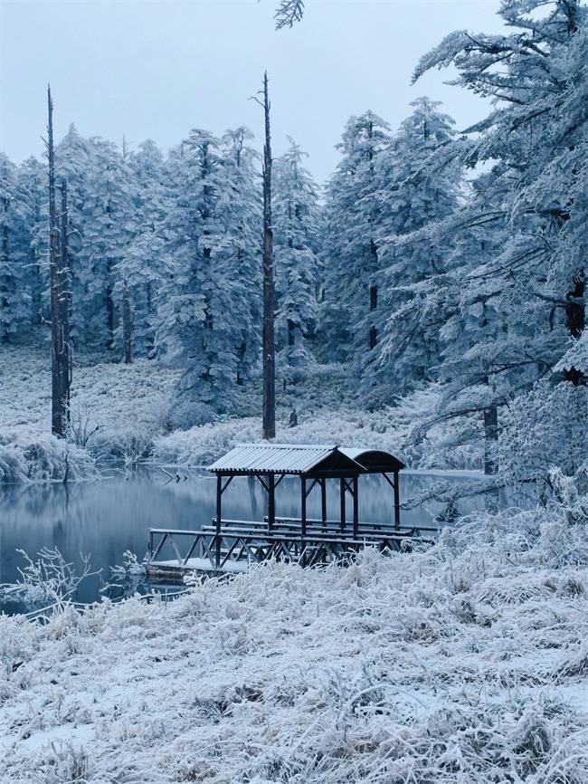 瓦屋山已进入最佳赏雪期,冬季旅游新热点 等你来体验!