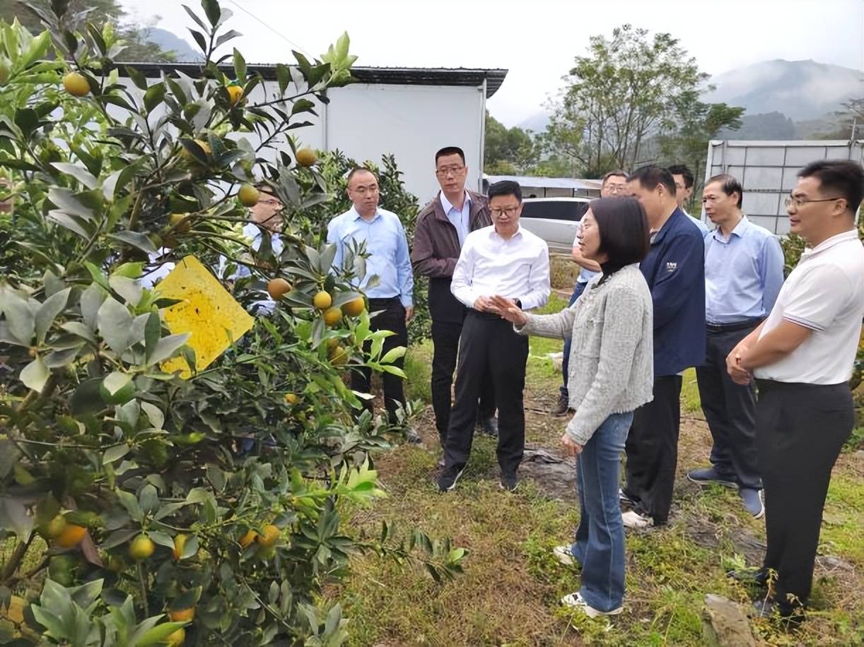 广州水投集团工作组调研驻镇帮扶乡村振兴建设_寨岗镇_范瑞威_连南