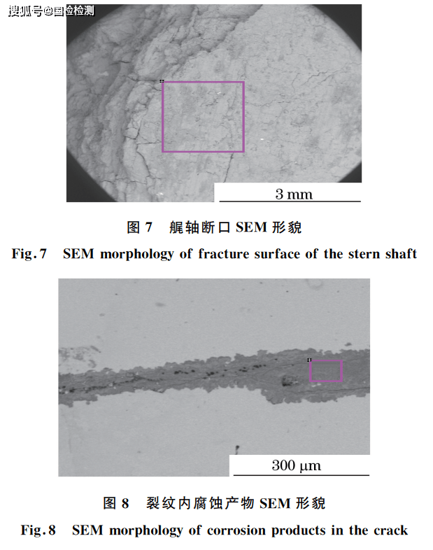 分享:船用艉軸斷裂失效分析_裂紋_斷口_材料