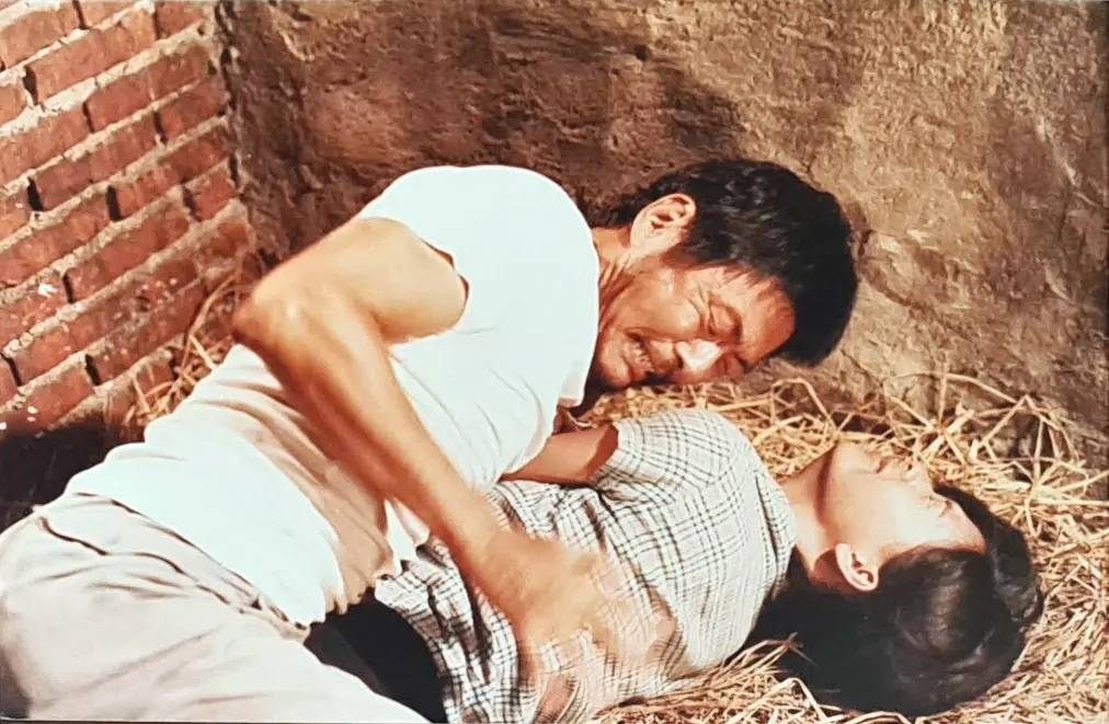 《杀夫》:封建时代的悲歌,女性的挣扎与抗争_生活_林市_电影