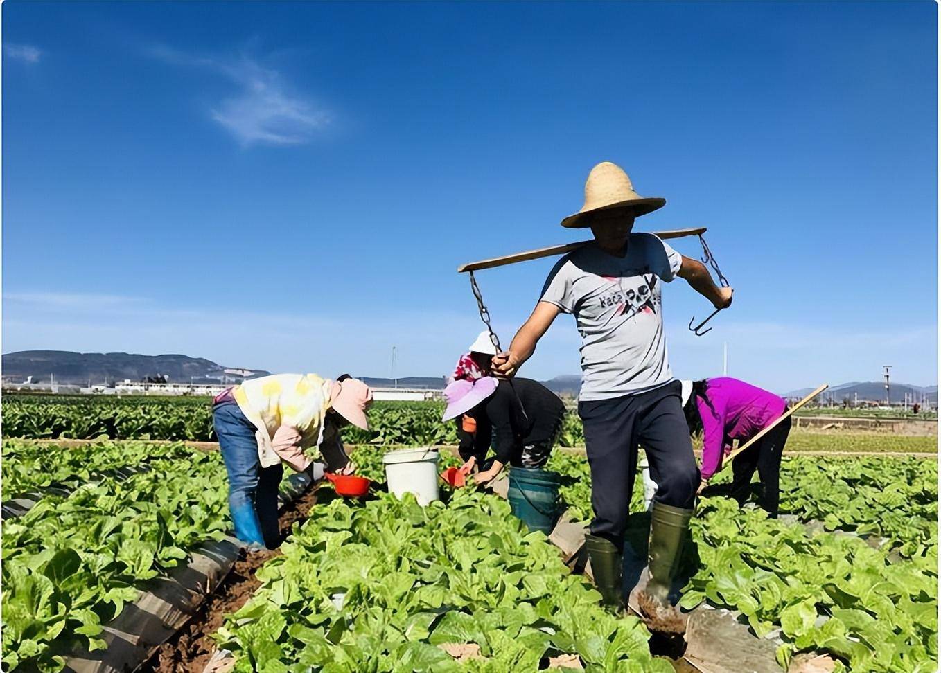地球上曾出现过上千亿人，这是否意味着，泥土就是由腐尸构成的呢(图26)