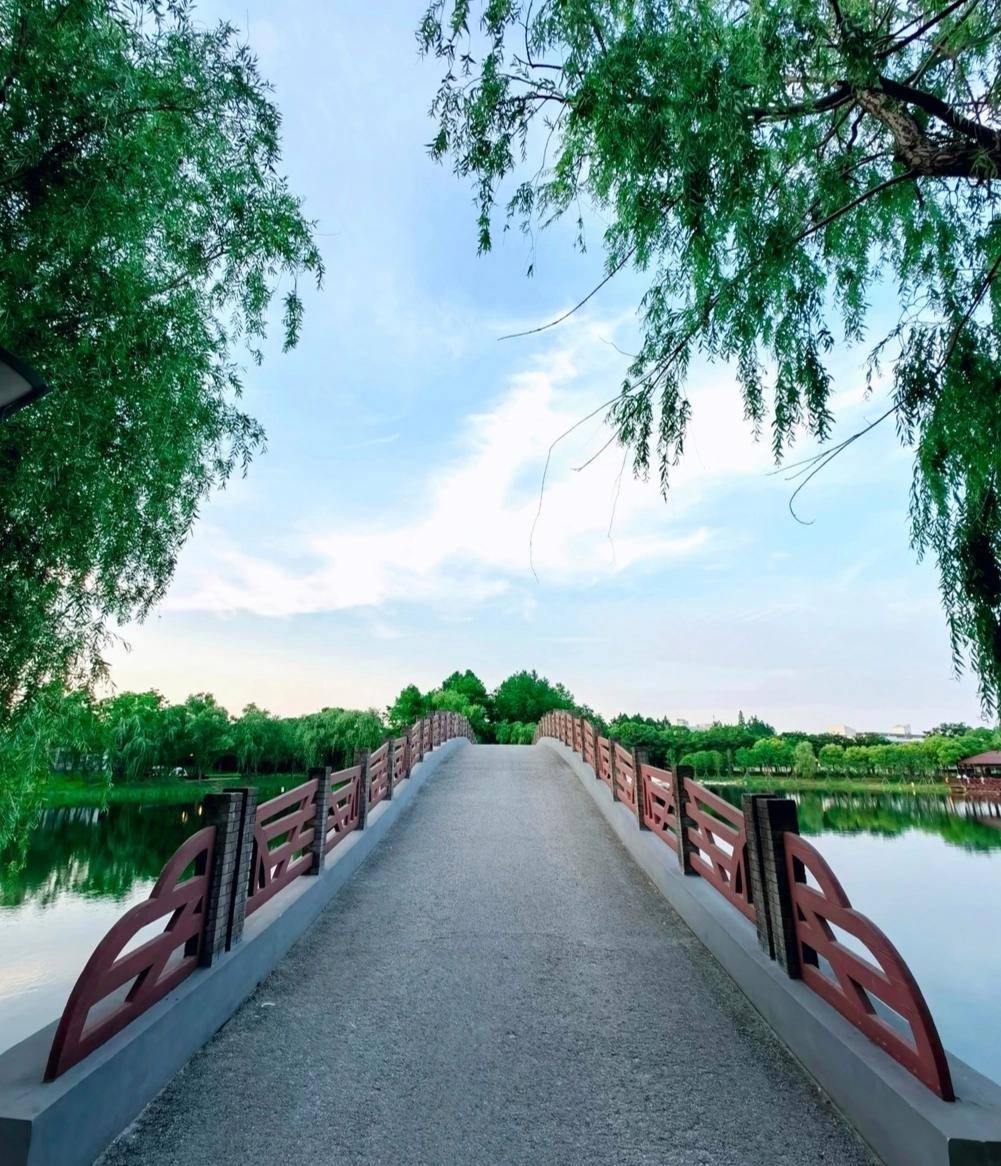 上海浦东金海湿地公园景色绝美_游客_自然_成为了