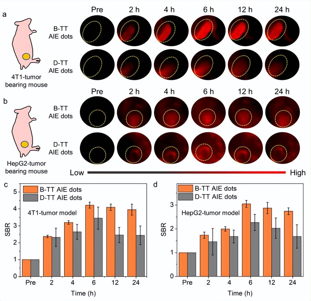 a) 4t1荷瘤小鼠與b) hepg2荷瘤小鼠注入b-tt與d-tt aie小球后熒光成像